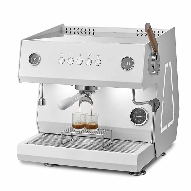 เครื่องชงกาแฟ Professional รุ่น Pro W1